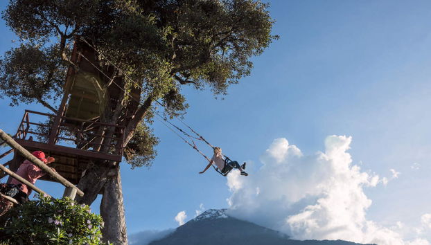 Excursão à Casa da Árvore - Foto 2