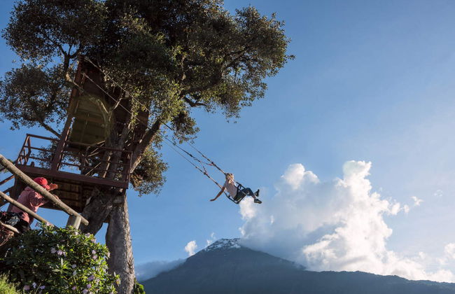 Excursão à Casa da Árvore - Foto 2