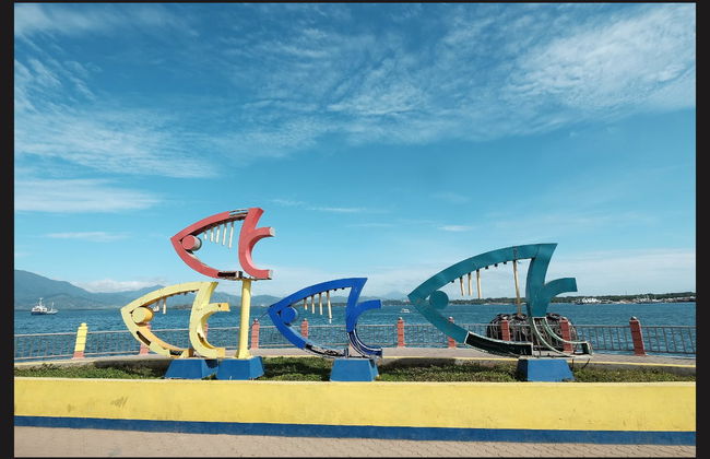 Visita guiada por Puerto Princesa - Foto 1