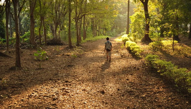 Kanheri Caves Half-Day Private Day Trip - Foto 4