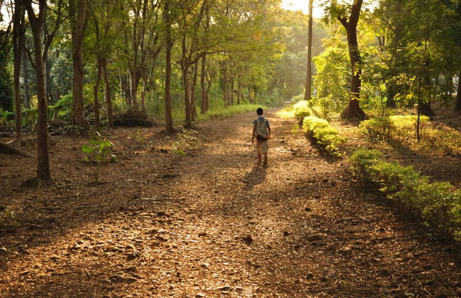 Kanheri Caves Half-Day Private Day Trip - Foto 4