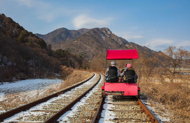 Excursión a la Petite France e isla Nami + Rail bike - Foto 1