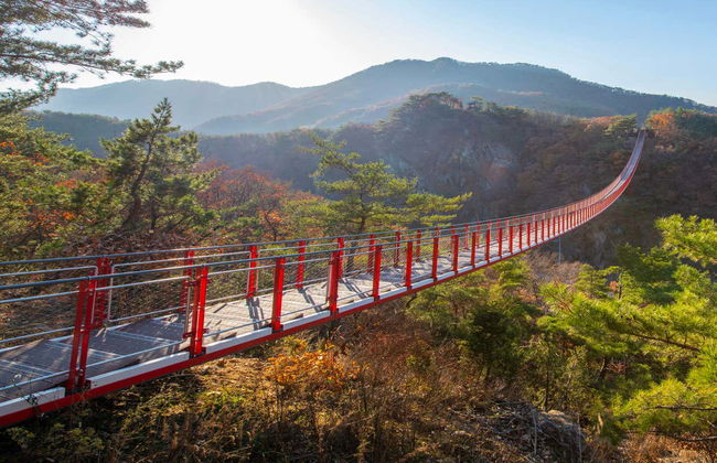 Excursión a la zona desmilitarizada de Corea - Foto 6