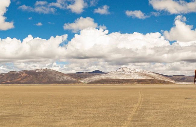 Excursión a la Laguna de Salinas - Foto 4