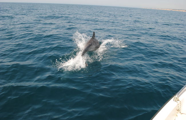 Paseo en barco por las cuevas del Algarve - Foto 4