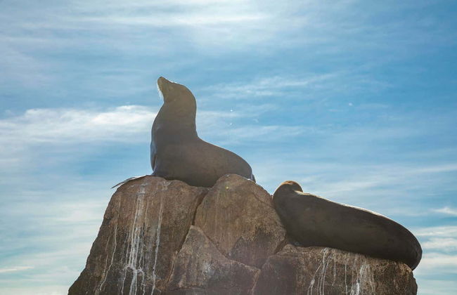 Excursion à Cabo San Lucas - Photo 6