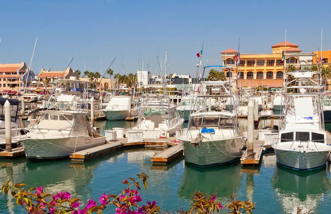 Cabo San Lucas Tour - Photo 10