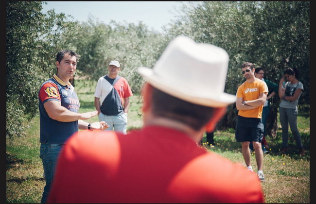 Visita a um olival ecológico + Degustação de azeite - Foto 5