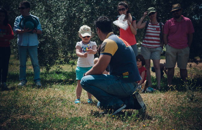 Visita a um olival ecológico + Degustação de azeite - Foto 3