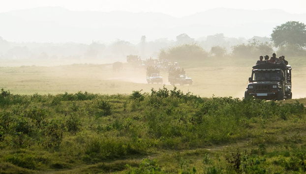 Yumuri Valley Jeep Tour - Foto 5