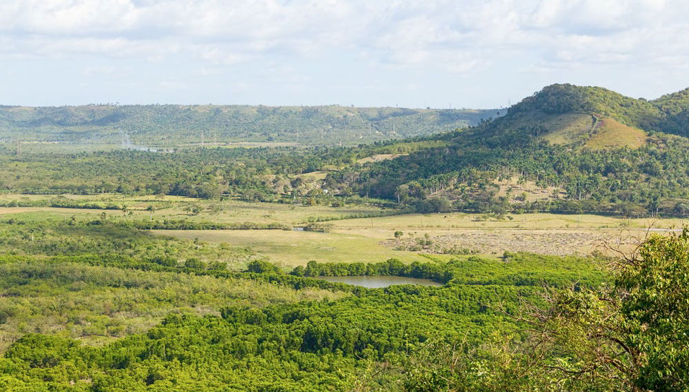 Yumuri Valley Jeep Tour - Foto 1