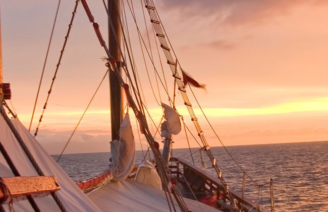 Paseo en barco pirata por Puerto Vallarta - Foto 6