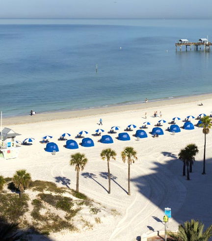 Foto de Excursión a Clearwater Beach