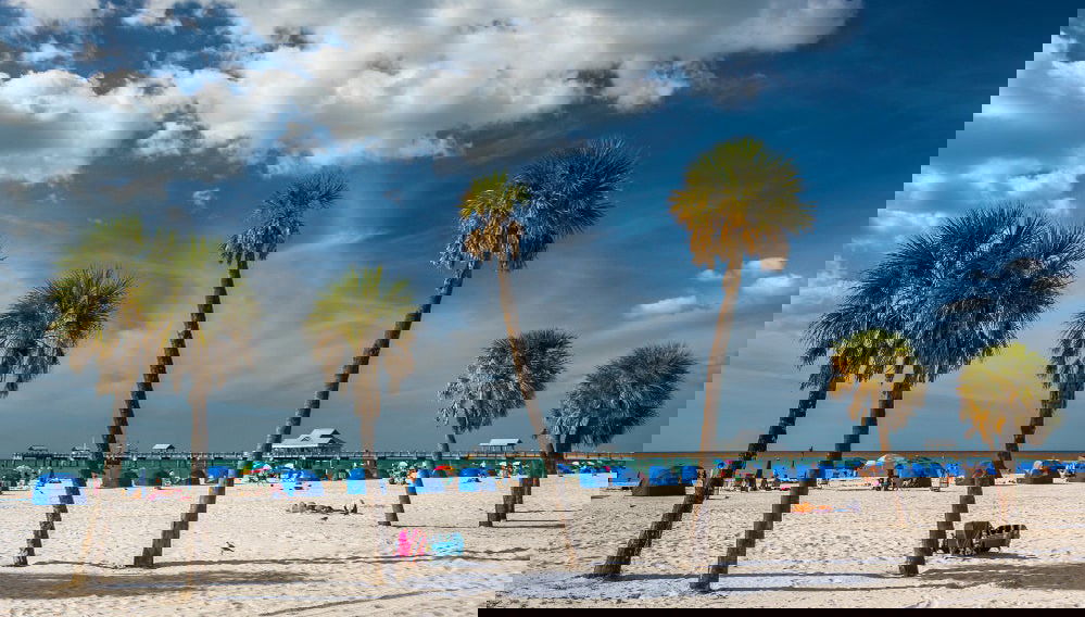 Excursión a Clearwater Beach - Foto 1