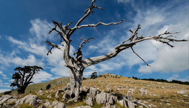 Basilicata Parks Bike Tour - Photo 5