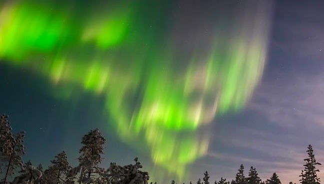 Aurora Borealis Snowmobile Tour - Photo 1