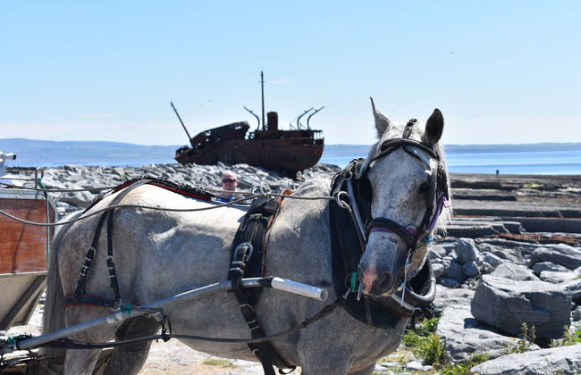 Ferry a Inisheer - Foto 4