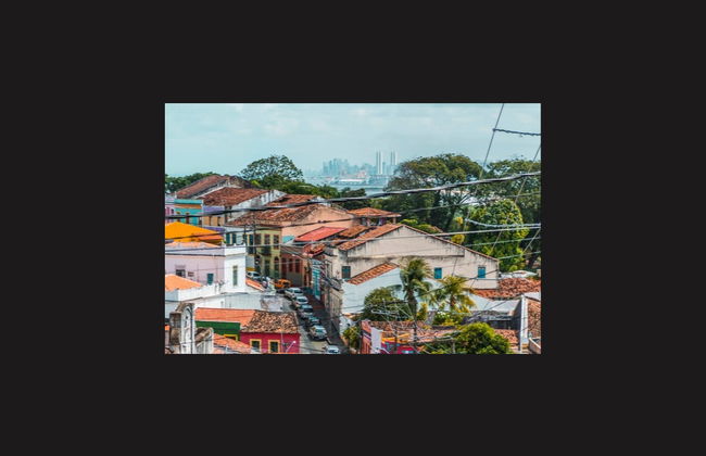 Excursion privée depuis Porto de Galinhas - Photo 8