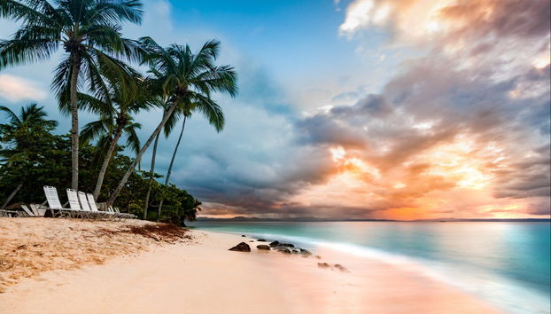 Los Haitises National Park & Cayo Levantado Excursion - Photo 4