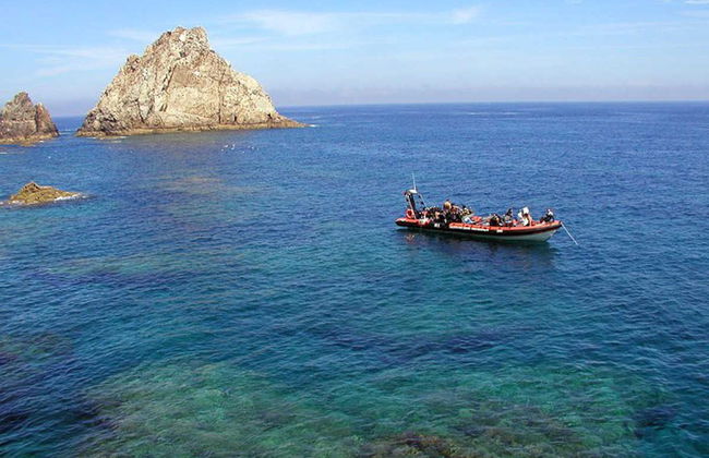 Snorkeling a Berlenga Grande - Foto 5