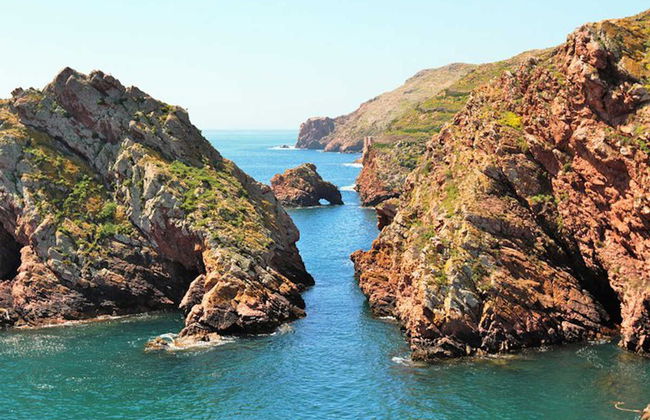 Snorkeling a Berlenga Grande - Foto 2
