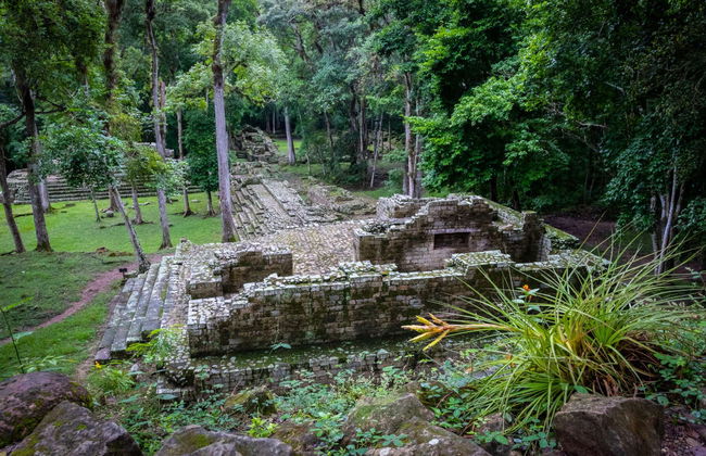 Private Copán Archeological Museum and Bird Park Trip - Foto 1
