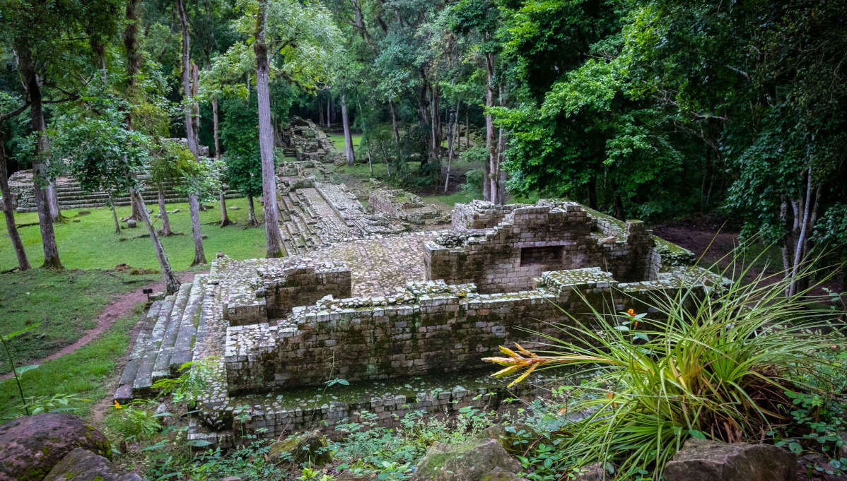 Private Copán Archeological Museum and Bird Park Trip - Photo 1