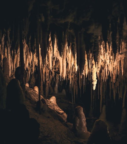 Foto de Excursión a la Cueva El Soplao