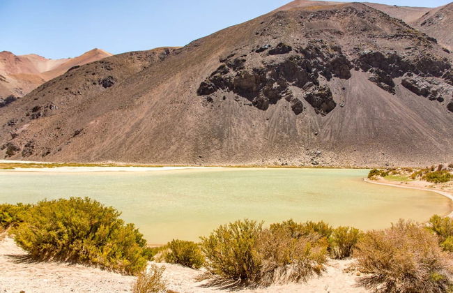 Excursión privada a la Laguna Blanca - Foto 2