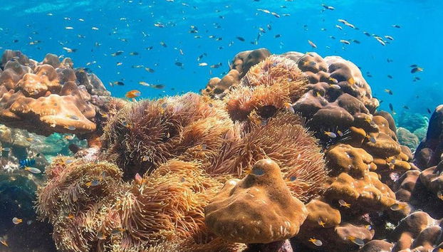 Phuket Private Speedboat Tour - Photo 5