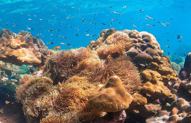 Phuket Private Speedboat Tour - Photo 5