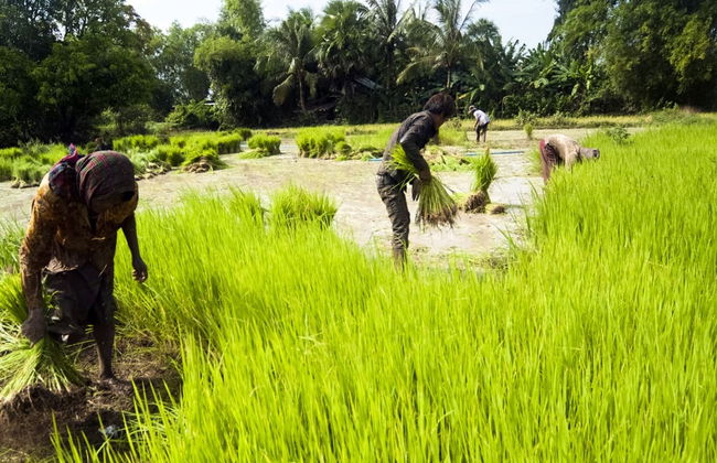 Floating Village Tour - Photo 2