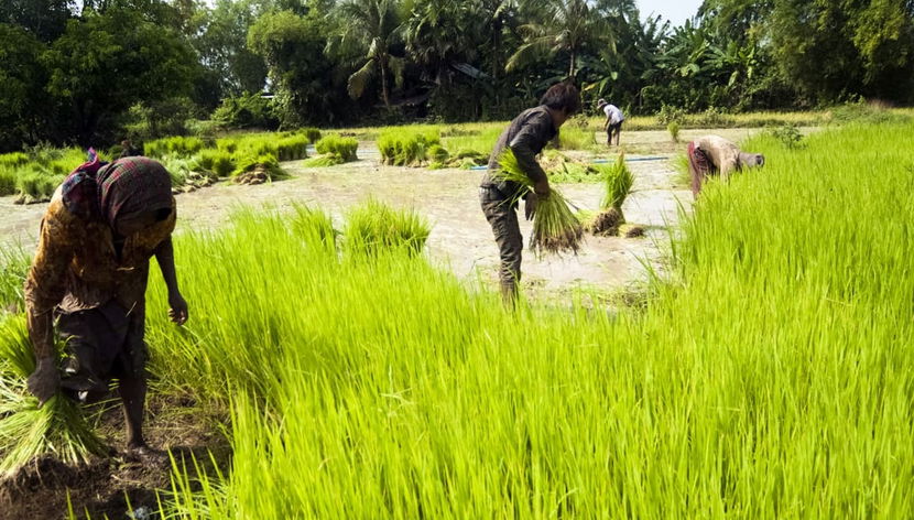Floating Village Tour - Photo 2