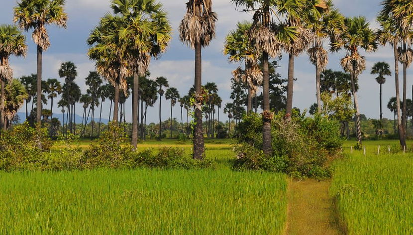 Floating Village Tour - Photo 3