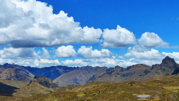 Excursión al Parque Nacional Cajas - Foto 4