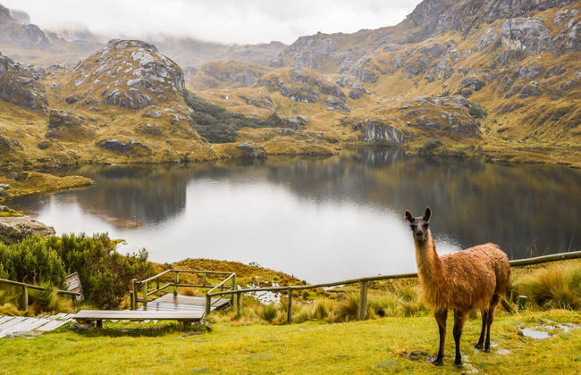 Excursión al Parque Nacional Cajas - Foto 1