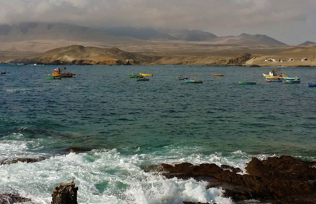 Excursión a Las Aldas y playa de La Gramita - Foto 5