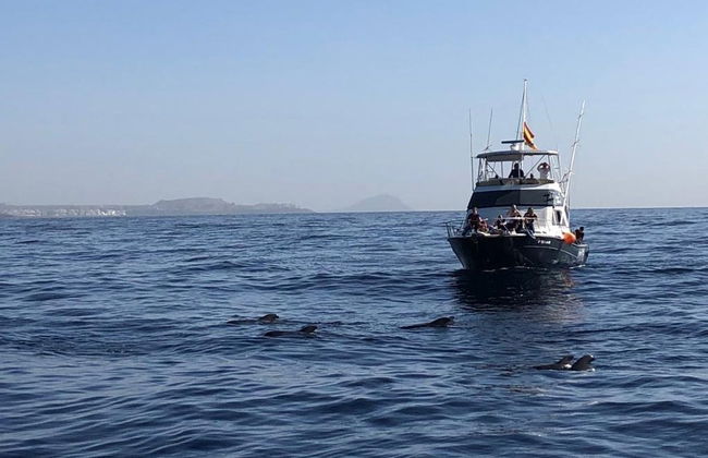 Observation de baleines et de dauphins à Las Galletas - Photo 5