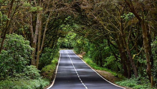 Excursión a La Gomera desde el norte de Tenerife - Foto 3
