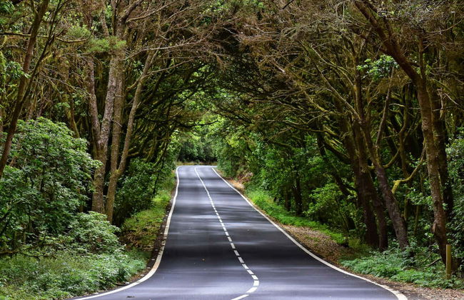 Excursión a La Gomera desde el norte de Tenerife - Foto 3