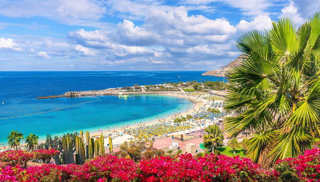 Catamarán por las costas de Puerto Rico - Foto 2