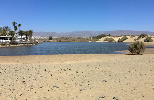 Maspalomas Segway Tour - Foto 6