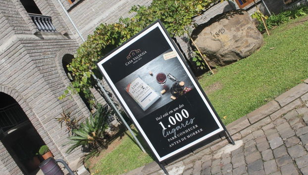 Vale dos Vinhedos Winery Tour - Photo 5