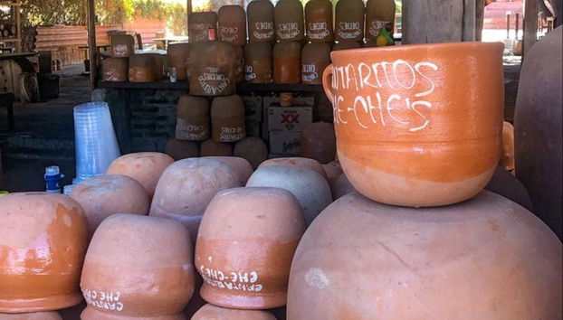 Escursione a Guachimontones e Tequila - Foto 5