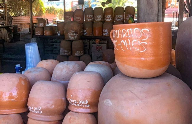 Excursión a Guachimontones y Tequila - Foto 7
