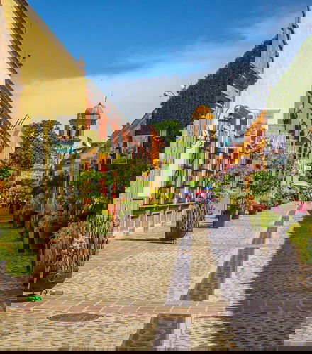 Foto de Excursión a Guachimontones y Tequila