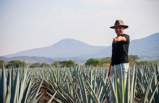 Excursión a Guachimontones y Tequila - Foto 3