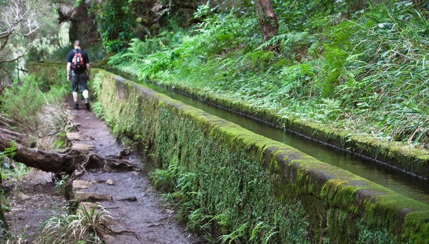 Levada das 25 Fontes Walk - Photo 3