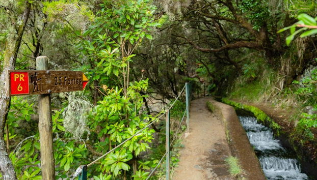 Levada das 25 Fontes Walk - Photo 2