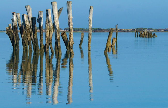 Tour en kayak por las marismas de Sancti Petri - Foto 1